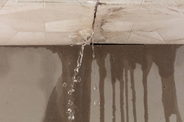 Professional Water Damage Inspection technician working in Shirley, MA